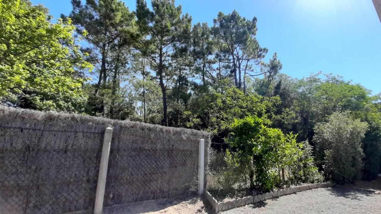 La Foret Des Rossignols - Maison 2 Chambres, Jardin Et Terrasse Saint-Jean-de-Monts Eksteriør bilde